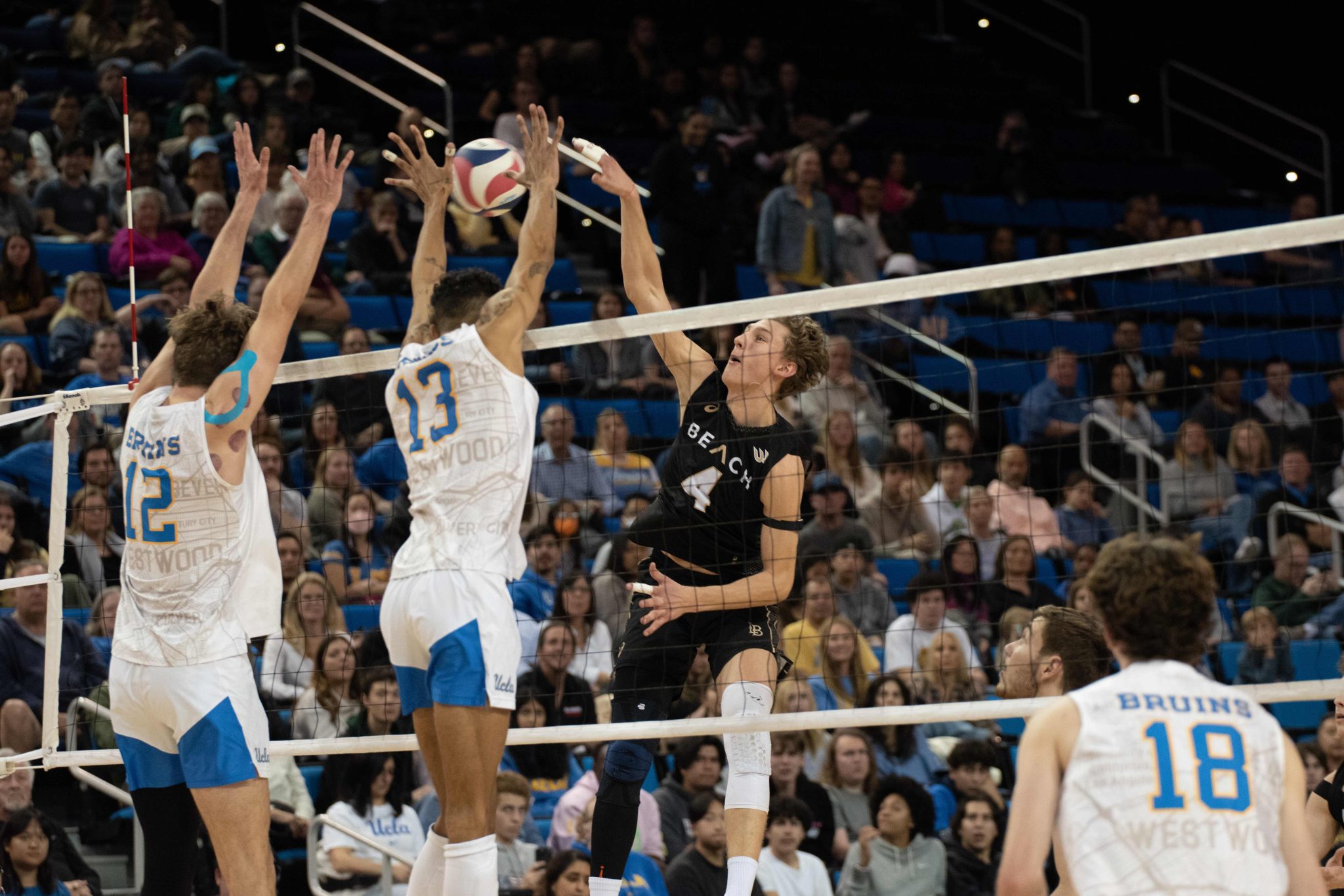 Long Beach State Volleyball Drops Season s First Match At UCLA The562 long-beach-state-volleyball-drops-season-s-first-match-at-ucla-the562