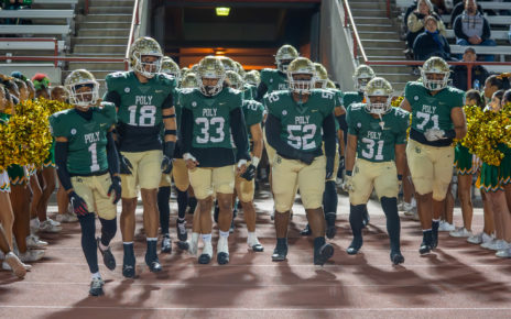 Allin polynorthview2024 02