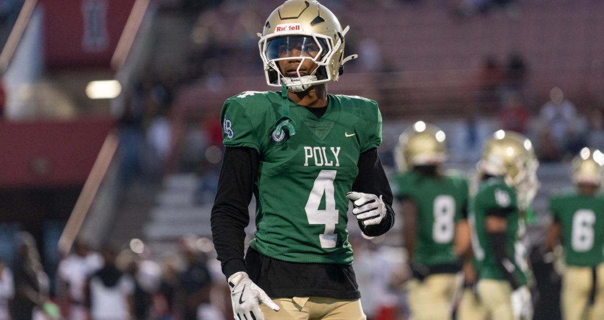 09052025 polyvtustin 06