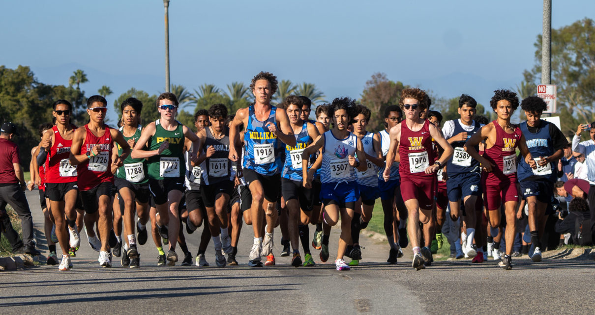 Allinxc eldo2024 02