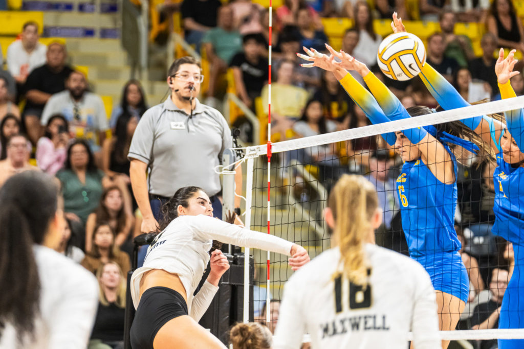 Lbsuvsuclawball 00528