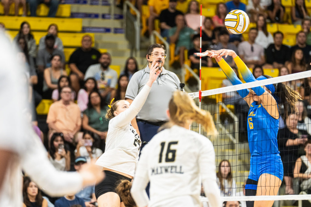 Lbsuvsuclawball 00595