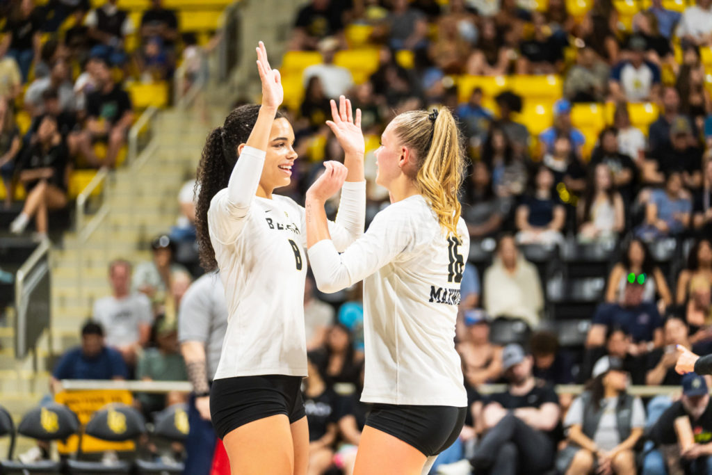 Lbsuvsuclawball 00618