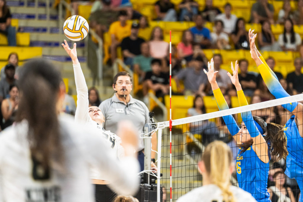 Lbsuvsuclawball 00647