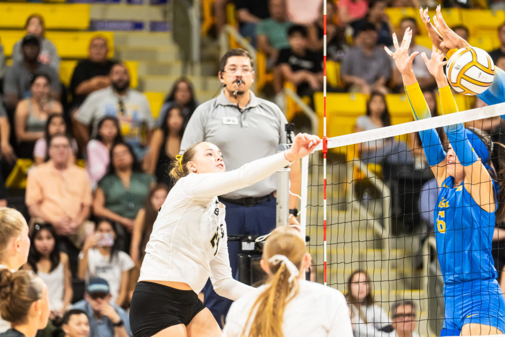 Lbsuvsuclawball 00659