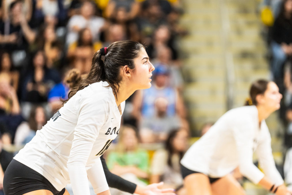 Lbsuvsuclawball 00667