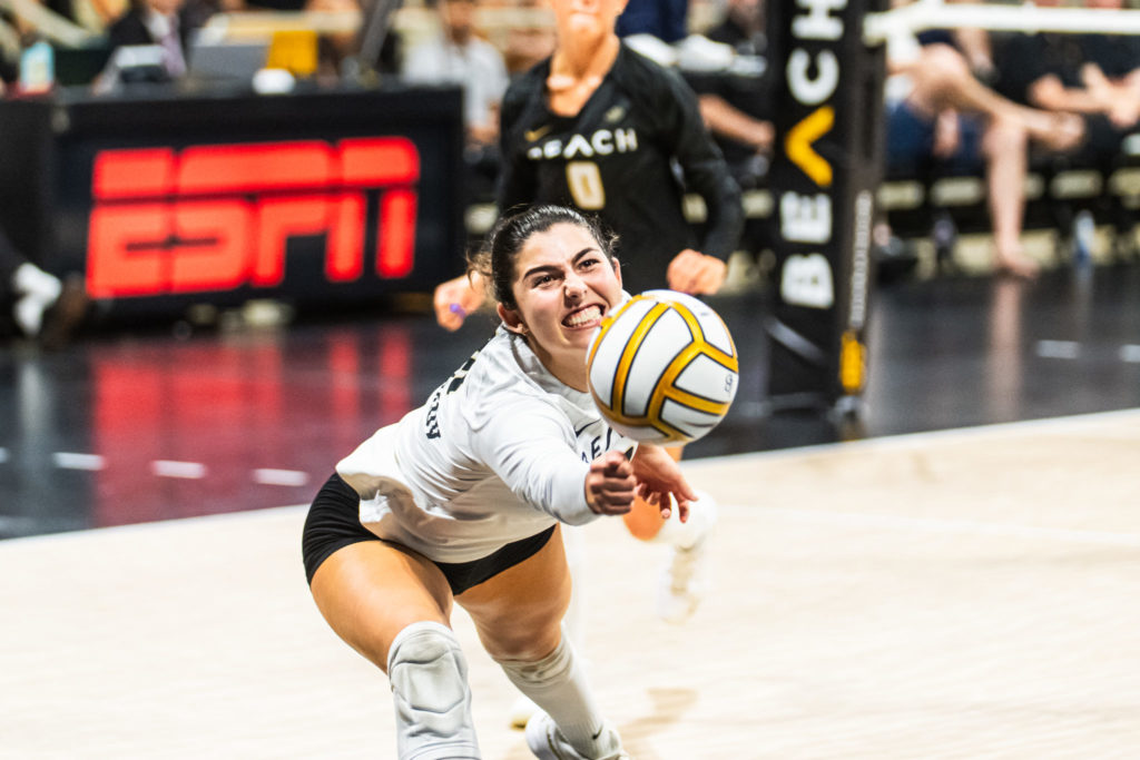 Lbsuvsuclawball 00705