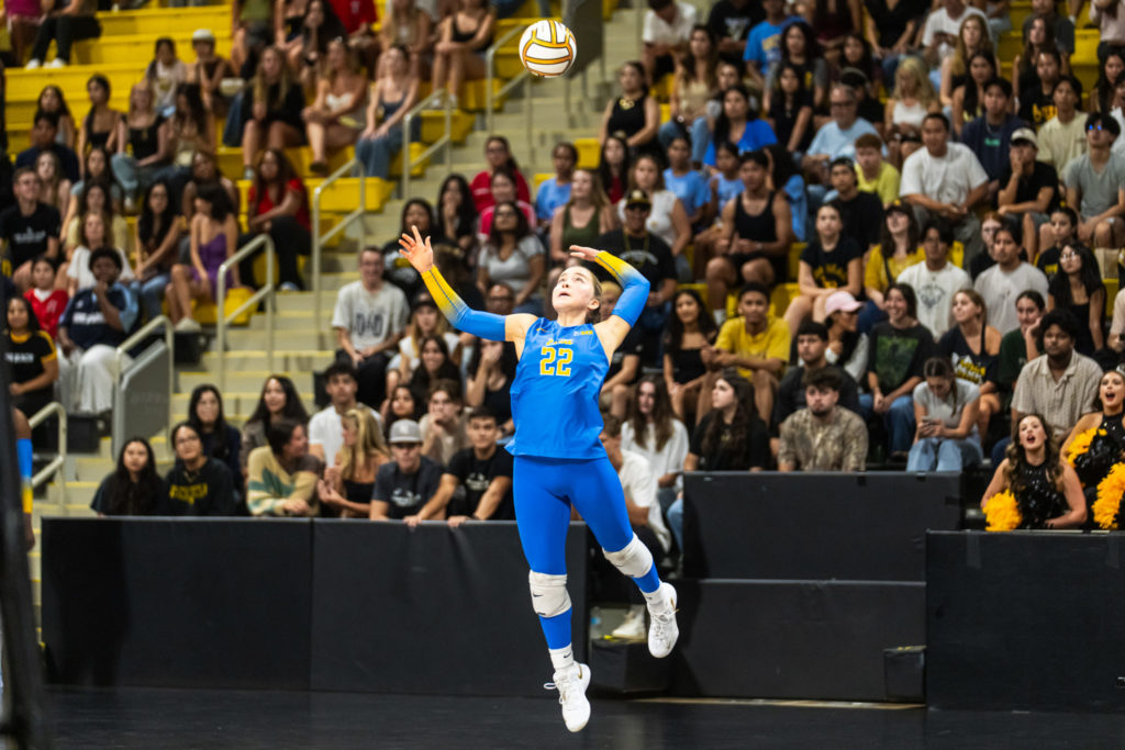 Lbsuvsuclawball 00875