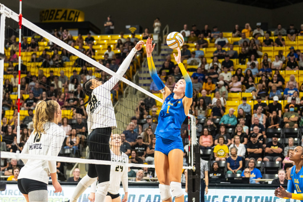 Lbsuvsuclawball 01170