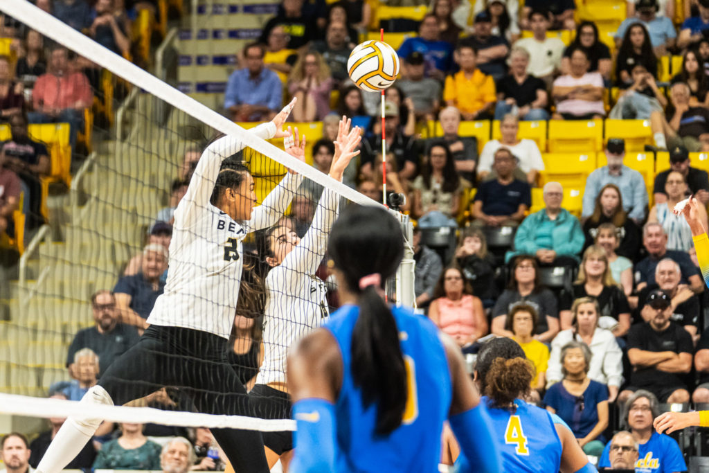 Lbsuvsuclawball 01266