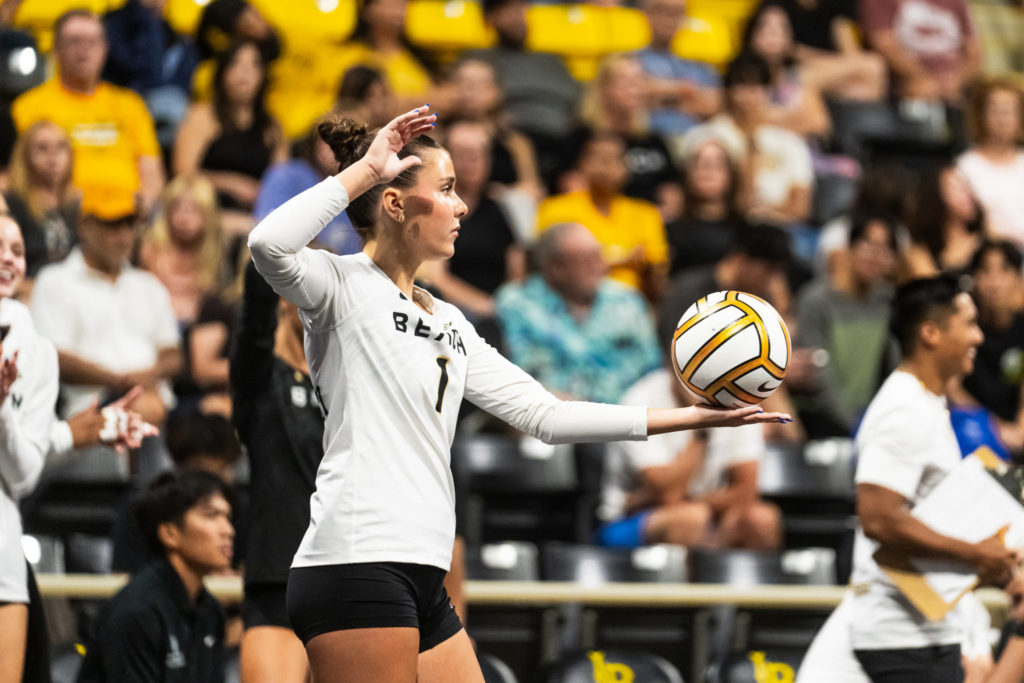 Lbsuvsuclawball 01357