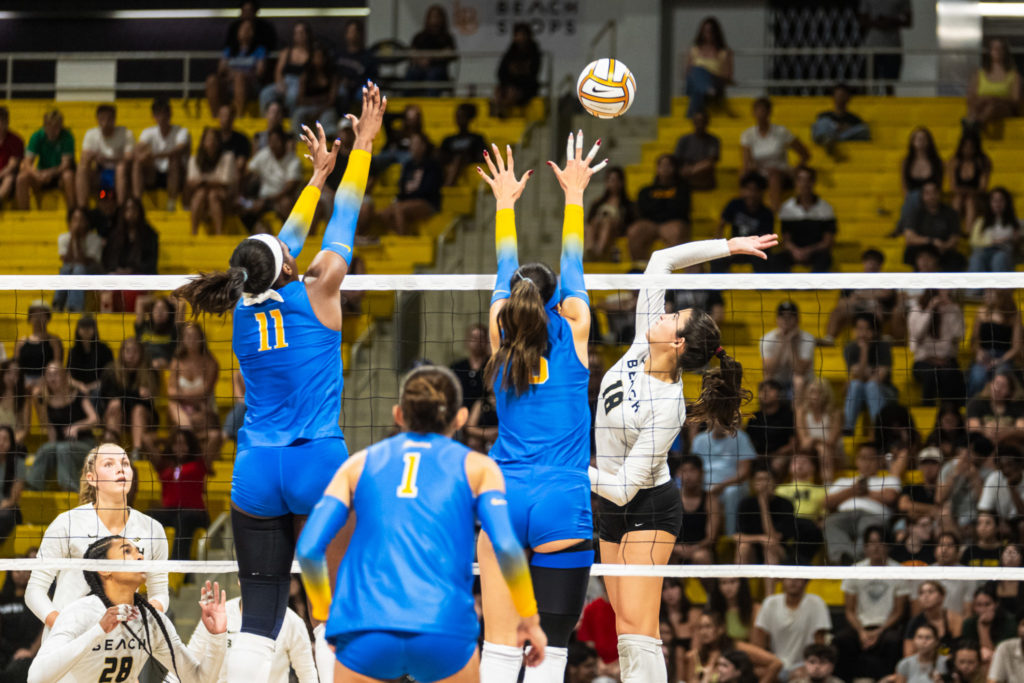 Lbsuvsuclawball 01455