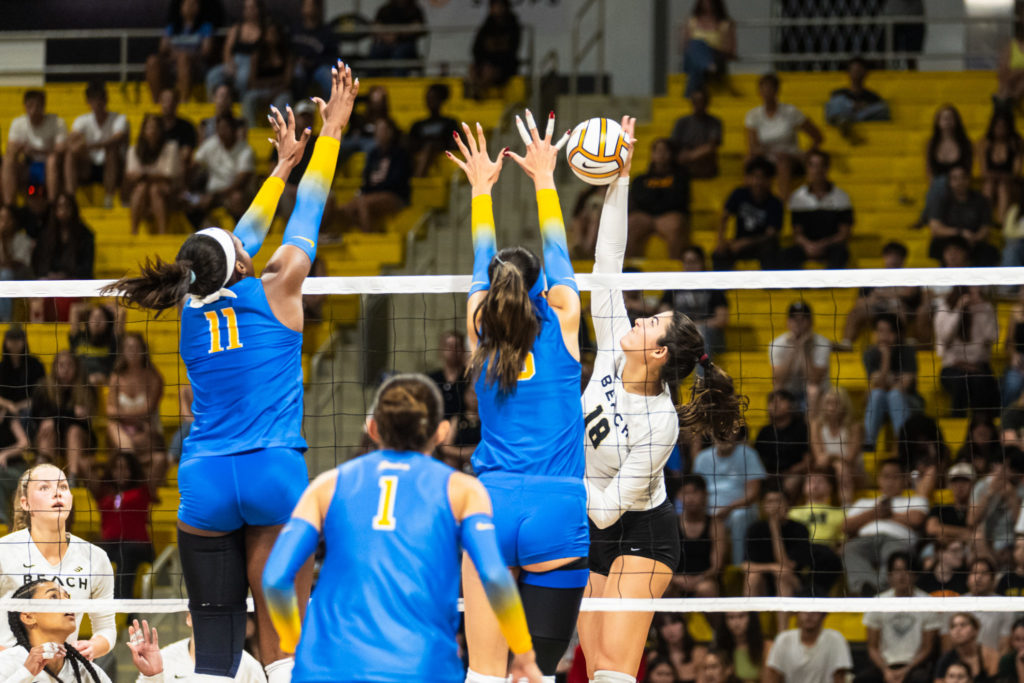 Lbsuvsuclawball 01456
