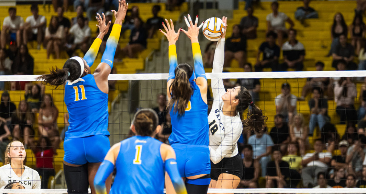 Lbsuvsuclawball 01456