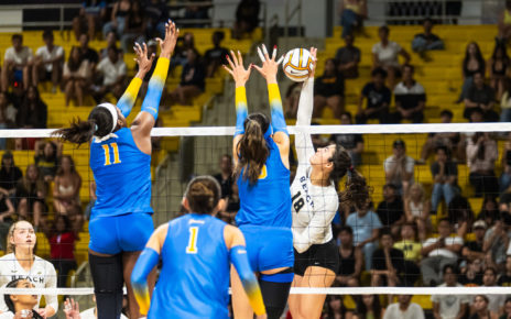 Lbsuvsuclawball 01456