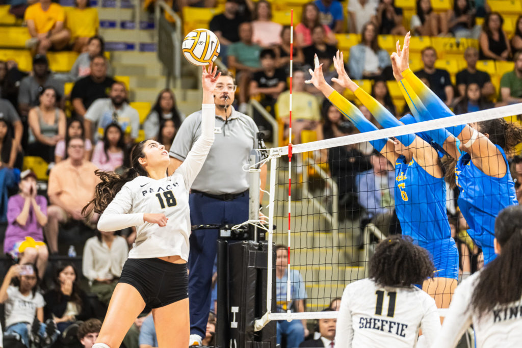 Lbsuvsuclawball 01518