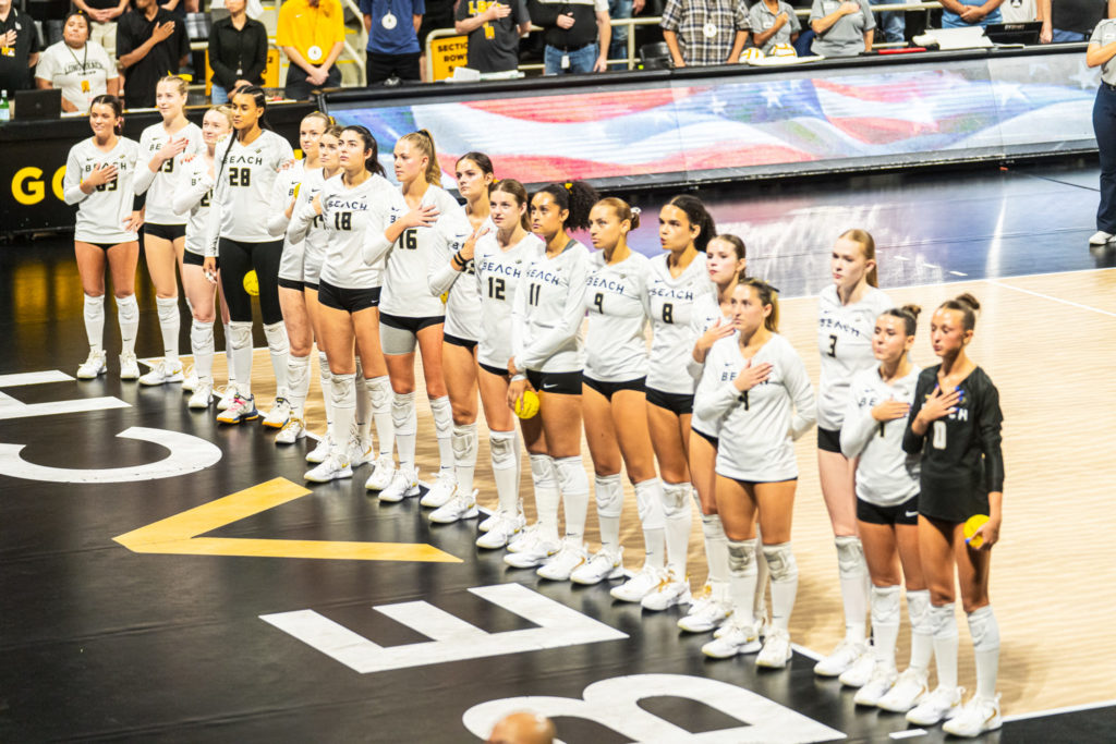 Lbsuvsuclawball 09427