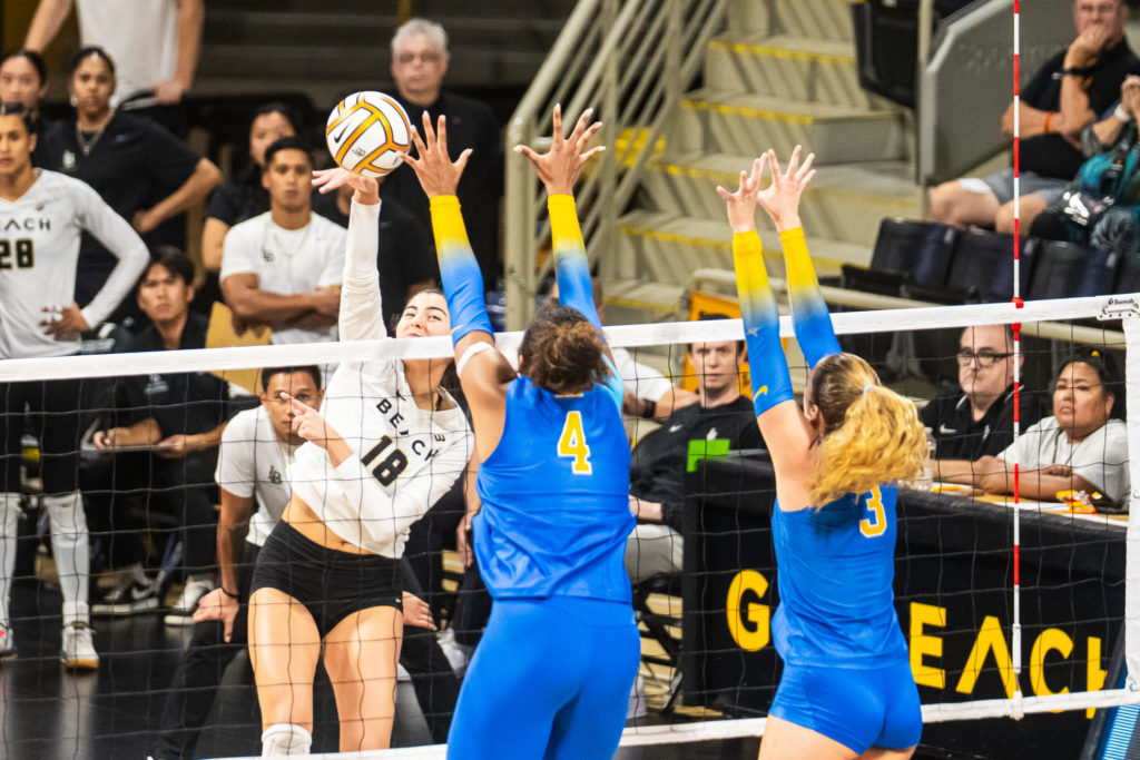 Lbsuvsuclawball 09451