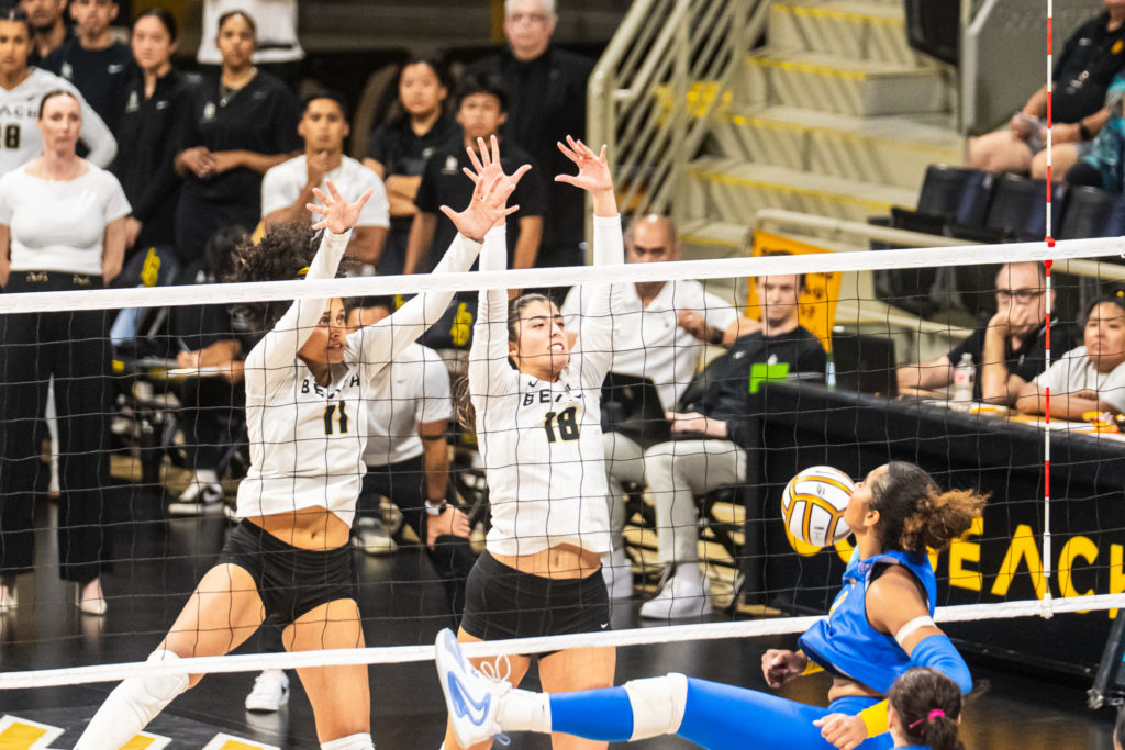 Lbsuvsuclawball 09477
