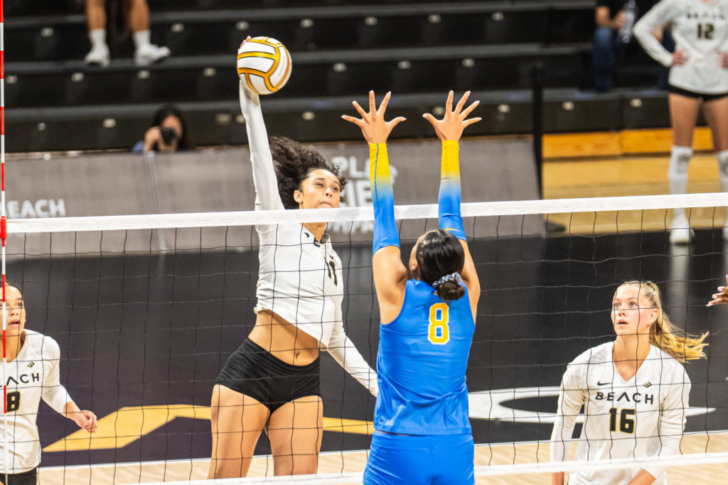 Lbsuvsuclawball 09513