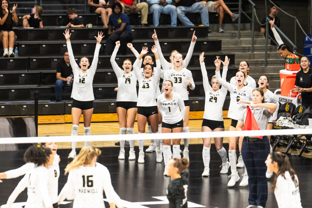 Lbsuvsuclawball 09527
