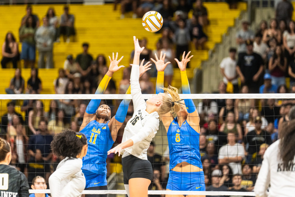 Lbsuvsuclawball 09880