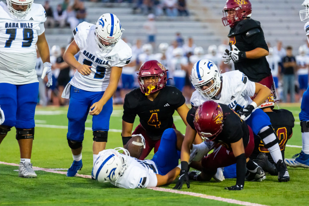 Wilsonvsdanahills 00218