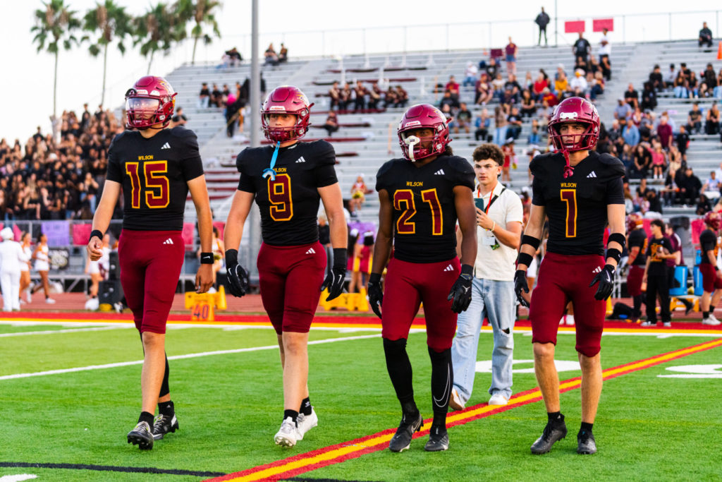 Wilsonvsdanahills 09786