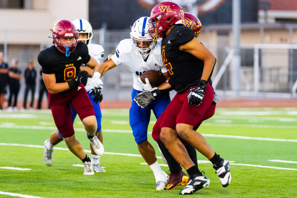 Wilsonvsdanahills 09974
