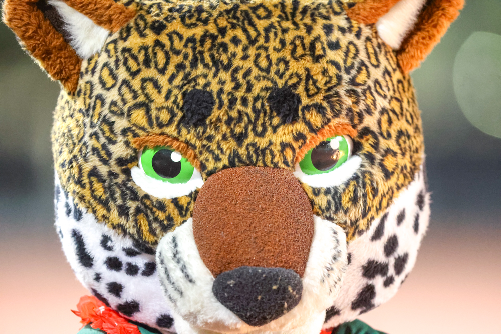 2025 10 30 562 vfb cabrillovsjordan 001