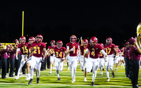 Wilson PlayoffFootball11 7 25