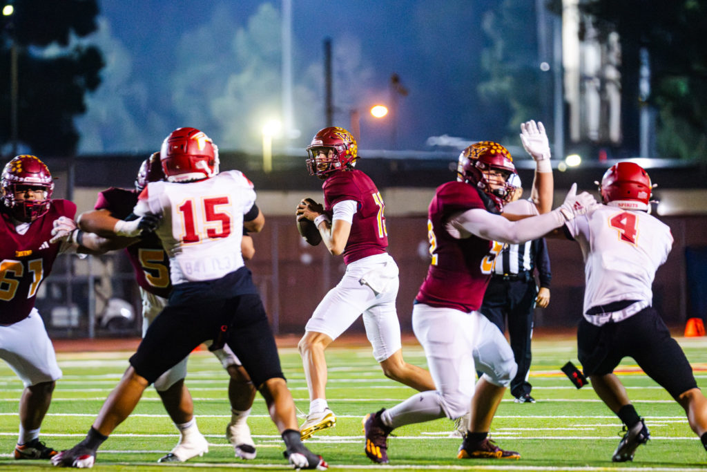 Wilson PlayoffFootball11 7 25