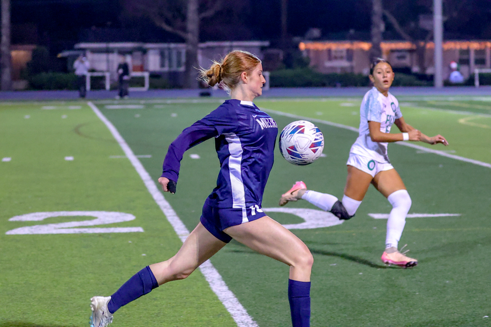 2026 01 06 562 VGSoc MilvsPoly