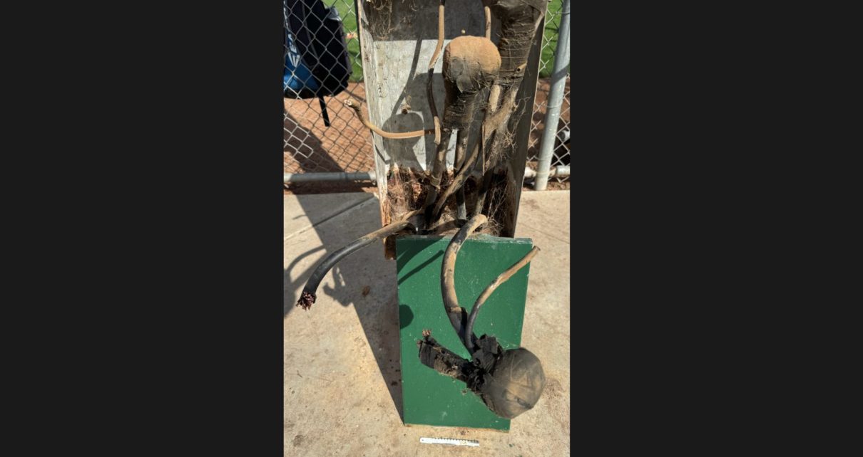 Screenshot 2026 01 25 at 10.58.41 AM