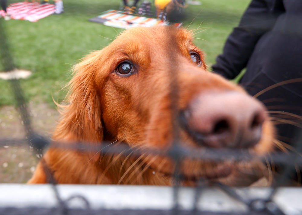 2026 02 15 562 DirtbagsVSSanJose