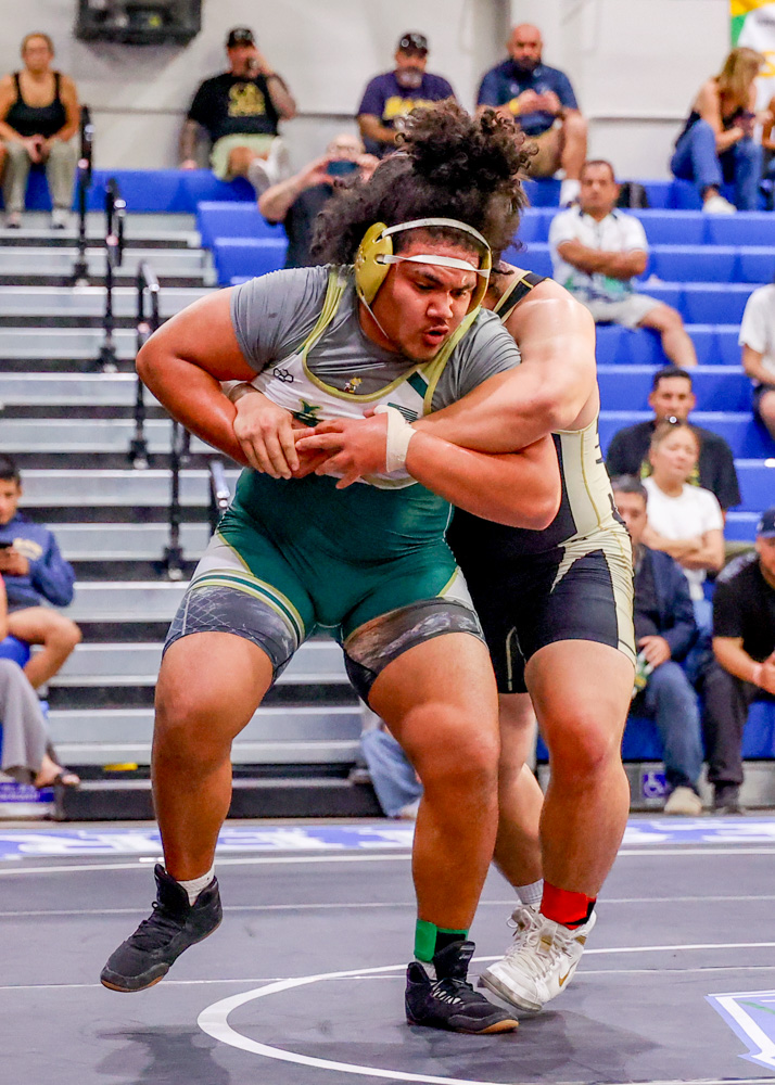 2026 01 31 562 VBWrestlingCIF Poly