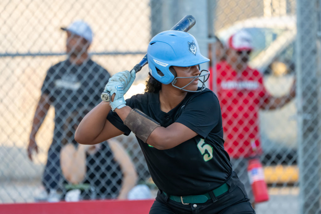 Polylakewoodsoftball2026