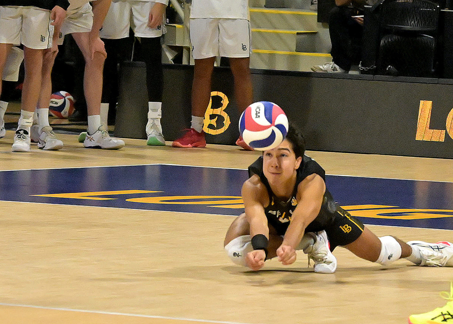 PHOTOS: No. 3 Long Beach State vs. No. 5 UC Irvine, Men’s Volleyball ...