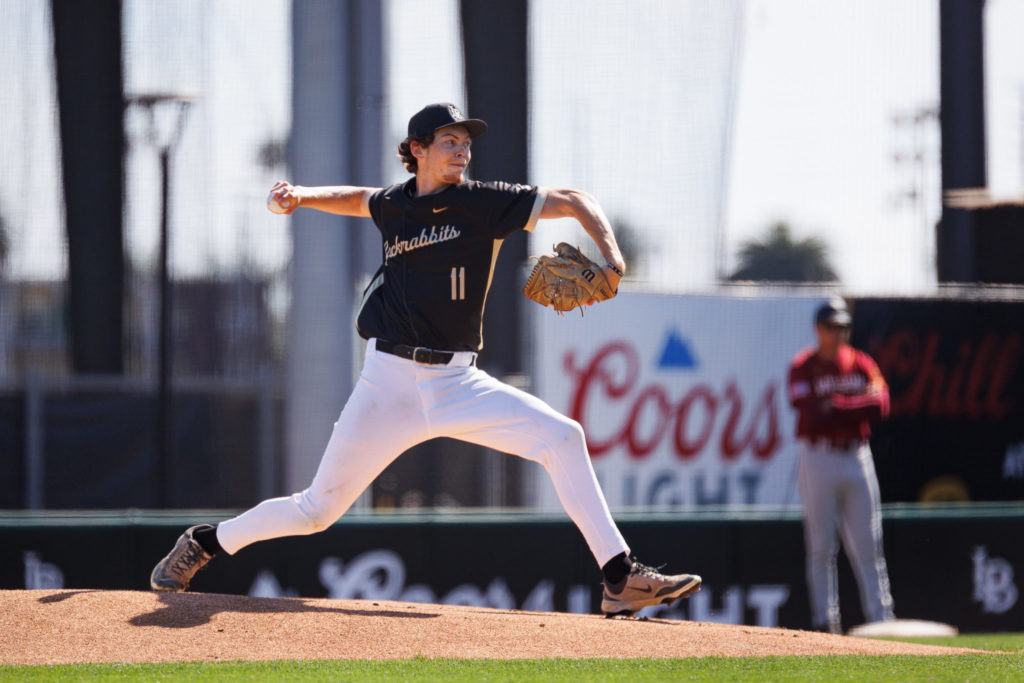 Wilson vs Poly Baseball