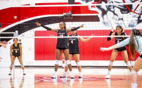 Lakewood Girls VB Play offs