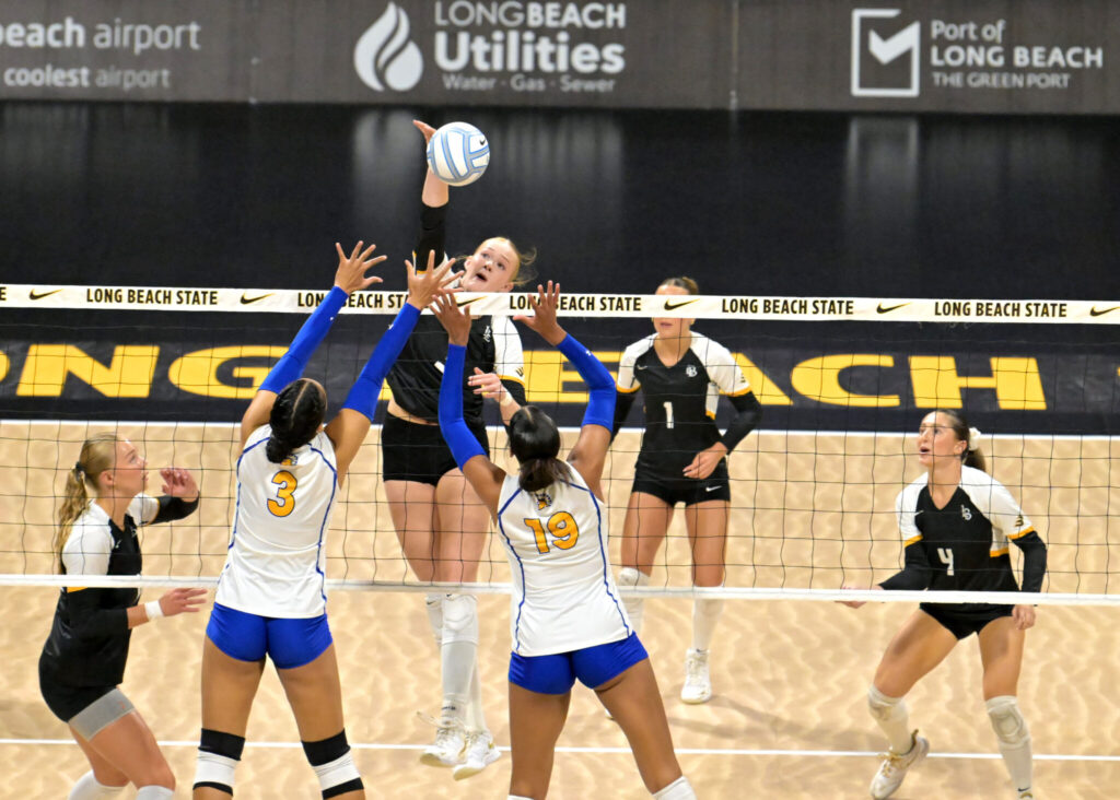 DSC 0014a