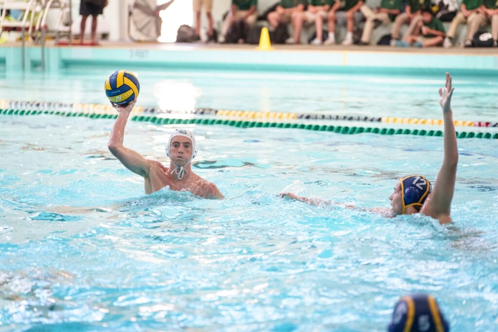 MillikanvsPolyWP 1