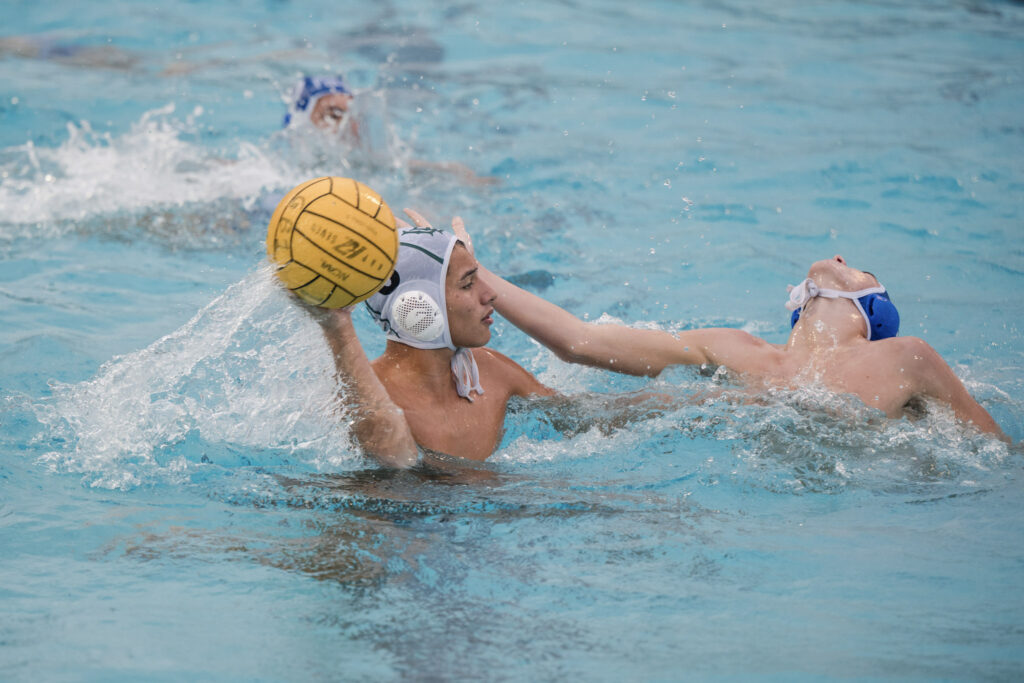 23 DSC8061