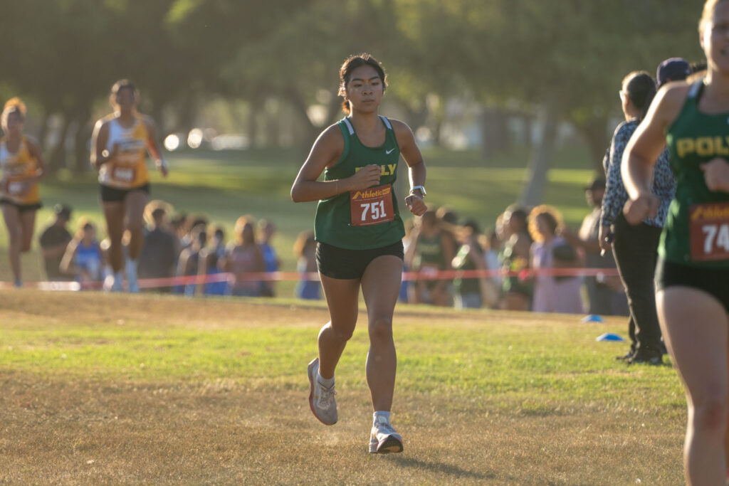 LBPolyXCML2026 16