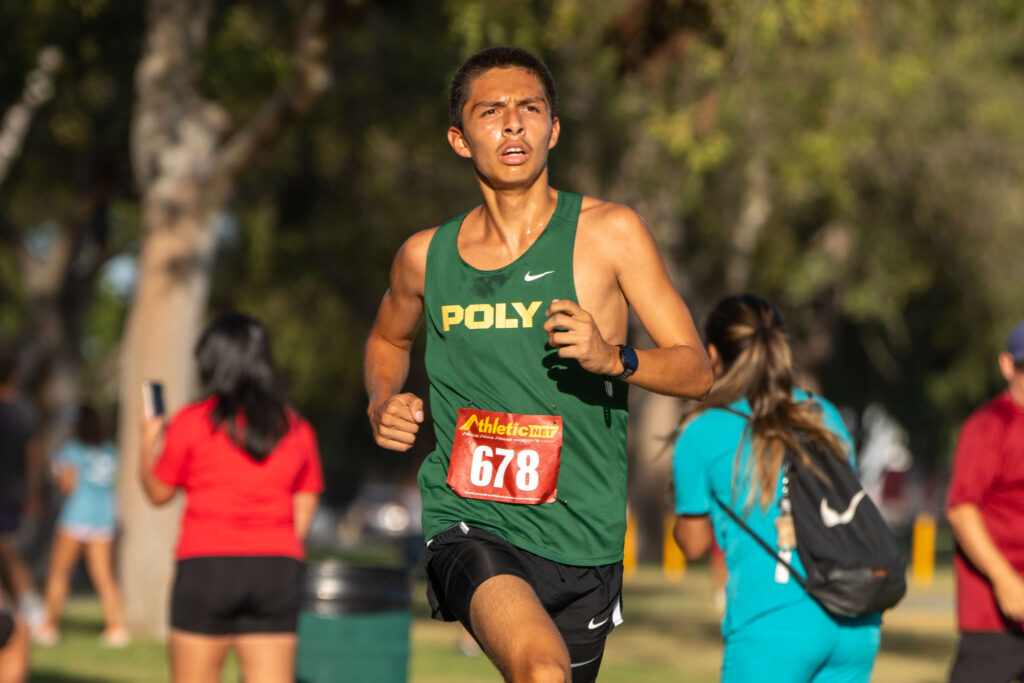 LBPolyXCML2026