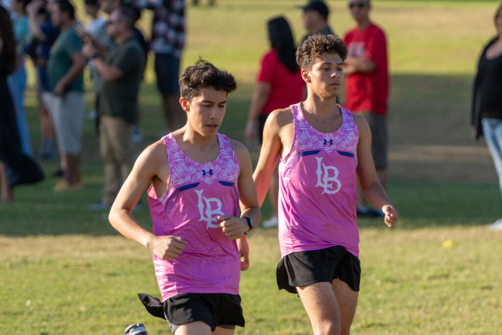 LBPolyXCML2026