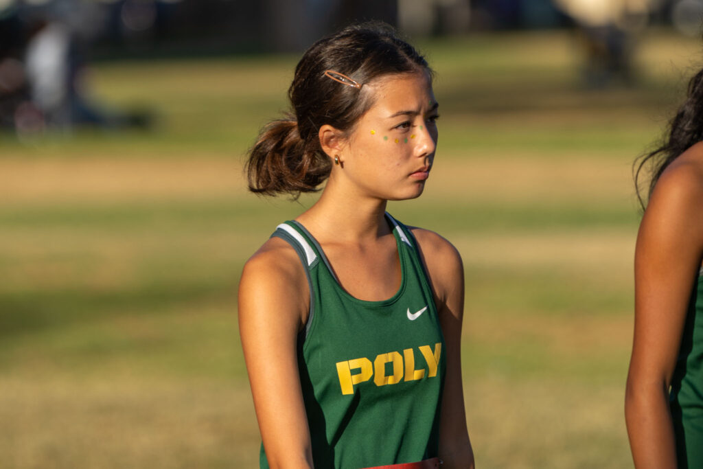 LBPolyXCML2026