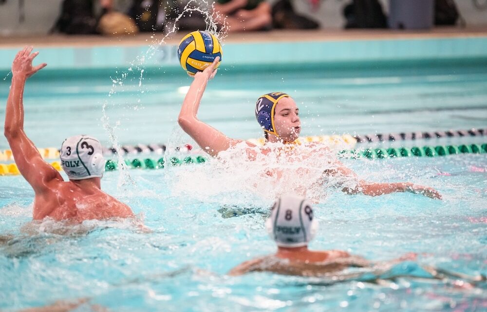 MillikanvsPolyWP 1