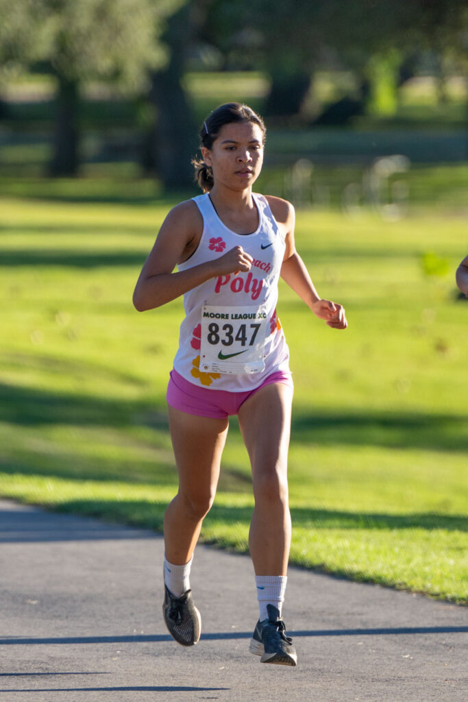 XC moore league