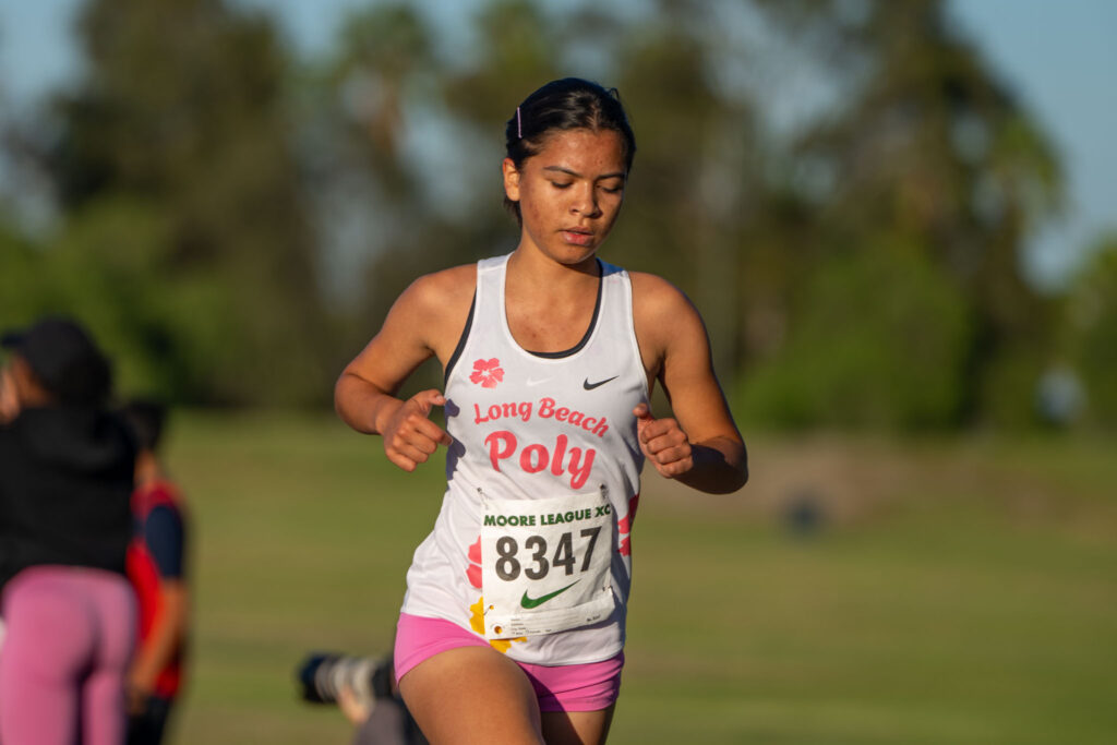 XC moore league